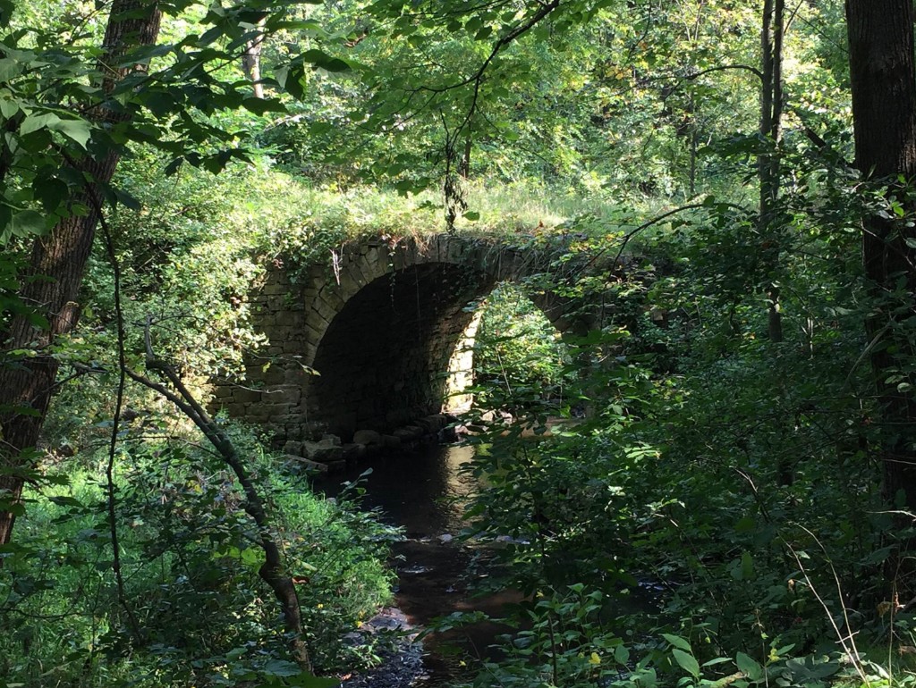 A stone bridge over a wooded creek, quiet and green